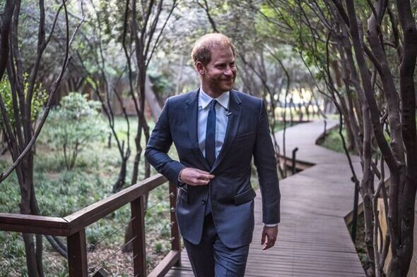 after-19-years-prince-harry-steps-down-from-sentebale-following-unthinkable-controversy